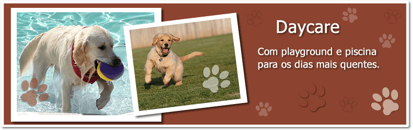 Dogcare - Hotel & Daycare em Campinas-SP