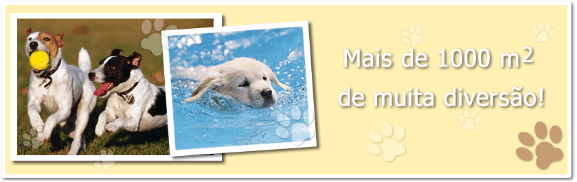 Dogcare - Hotel & Daycare em Campinas-SP
